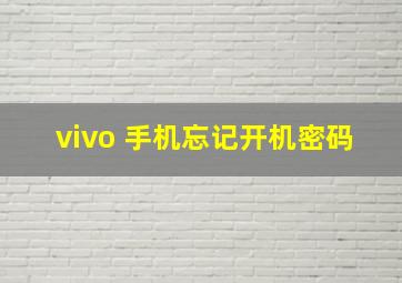 vivo 手机忘记开机密码